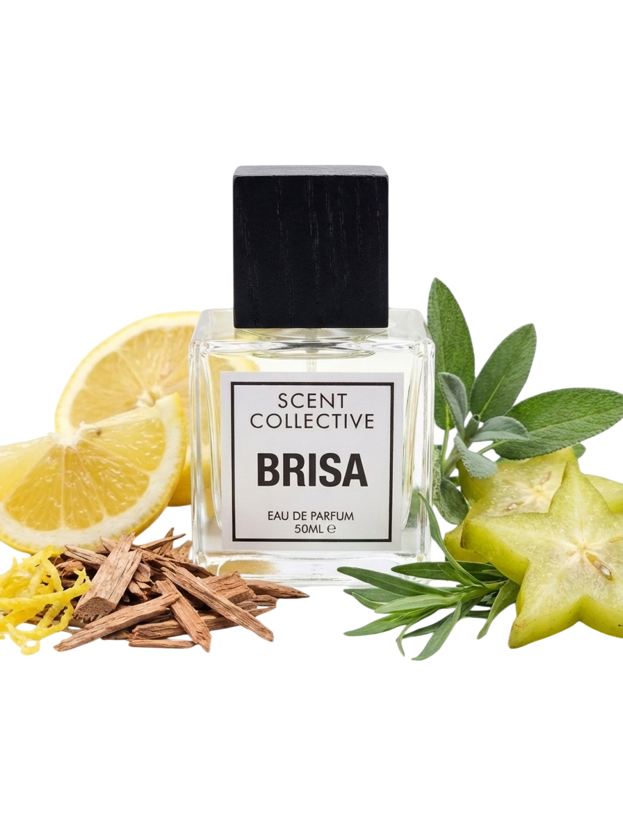 Brisa