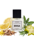Brisa